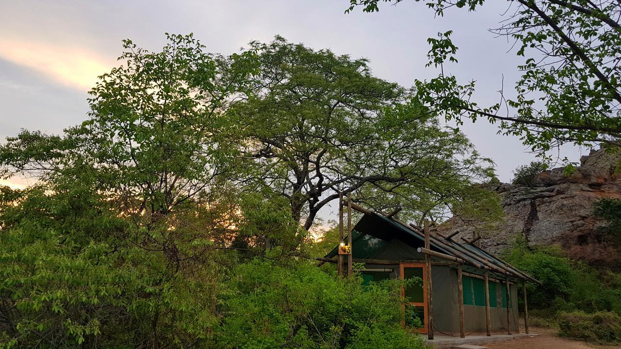 Awelani Lodge Masisi Экстерьер фото